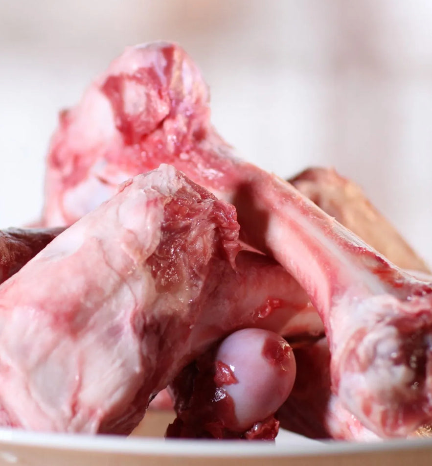 Pet food - Bag of bones